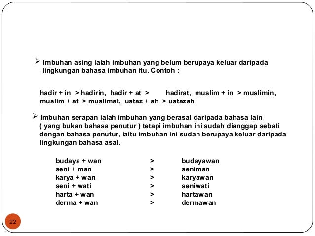 Morfologi