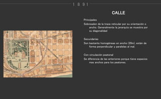 Morfologia | PPT