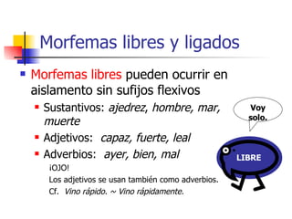 Morfemas libres y ligados <ul><li>Morfemas libres  pueden ocurrir en aislamento sin sufijos flexivos </li></ul><ul><ul><li...