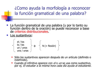 ¿Como ayuda la morfología a reconocer la función gramatical de una palabra? <ul><li>La función gramatical de una palabra (...