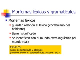 Morfemas léxicos y gramaticales <ul><li>Morfemas léxicos </li></ul><ul><ul><li>guardan relación al léxico (vocabulario del...