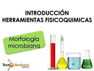 INTRODUCCIÓN
HERRAMIENTAS FISICOQUIMICAS
Morfología
microbiana
 