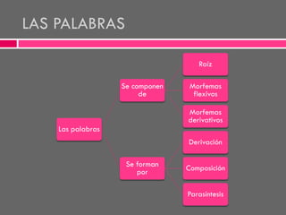 LAS PALABRAS
Raíz
Se componen
de

Morfemas
flexivos
Morfemas
derivativos

Las palabras
Derivación

Se forman
por

Composición
Parasíntesis

 