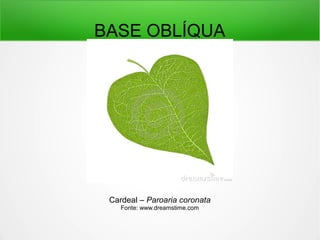 BASE OBLÍQUA
Cardeal – Paroaria coronata
Fonte: www.dreamstime.com
 