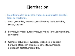 Ejercitación
• Identificar en los siguientes grupos de palabras los distintos
tipos de morfemas.
1. Social, sociedad, antisocial, socialmente, socio, sociable,
socias, sociales.
2. Servicio, servicial, autoservicio, servidor, servil, servidumbre,
servilismo.
3. Gentuza, estudiante, avispero, cristianismo, bondad,
barbudo, atardecer, enrojecer, panecito, humareda,
anteponer, acéfalo, imperdible.
 