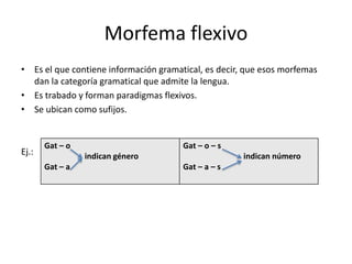 Morfema flexivo
• Es el que contiene información gramatical, es decir, que esos morfemas
dan la categoría gramatical que admite la lengua.
• Es trabado y forman paradigmas flexivos.
• Se ubican como sufijos.
Ej.:
Gat – o
indican género
Gat – a
Gat – o – s
indican número
Gat – a – s
 