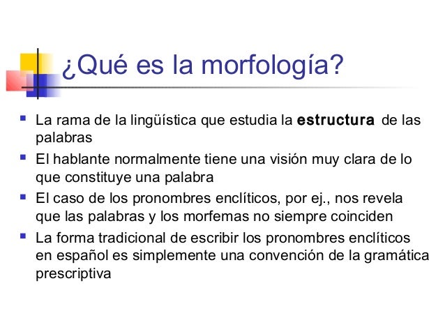 Morfologia