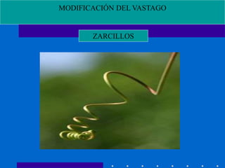 MODIFICACIÓN DEL VASTAGO
ZARCILLOS
 