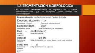 LA SEGMENTACIÓN MORFOLÓGICA
• El sustantivo descentralización se segmenta en la forma
descentraliza-ción, que se interpreta como “acción de
descentralizar”
 