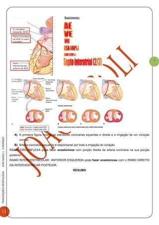 15
TRANCRIÇÕESMORFOLOGIAJOAONICOLI|2PERÌODO
1
A) A primeira figura mostra as estruturas coronarias equerdas e direita e a irrigação de um coração
normal.
B) Arteria coronaria esquerda é responsavel por toda a irrigação do coração.
RAMO CIRCUNFLEXA pode fazer anastomose com porção direita da arteria coronaria na sua porção
posterior.
RAMO INTERVENTRICULAR ANTERIOR ESQUERDA pode fazer anastomose com o RAMO DIREITO
DA INTERVENTRICAR POSTEIOR.
RESUMO
 