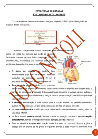 2
TRANCRIÇÕESMORFOLOGIAJOAONICOLI|2PERÌODO
ESTRUTURAS DO CORAÇÃO
JOAO ANTONIO NICOLI TAVARES
O coração possui basicamente quatro margens; superior, inferior (fase diafragmática),
margem direita e esquerda.
O ápice do coração não é voltado para baixo, ele é levemente elevado.
Existe um sulco no coração que pode se observar
facilmente, trata-se de uma linha imaginária, SULCO
CORONÁRIO, responsável por delimitar toda porção
ventricular da porção dos átrios e os vasos da base.
 O ápice do coração se desloca bem
anteriormente (por isso na ausculta, fica fácil
auscultar os batimentos apicais) (9 cm à
esquerda do esterno) 5º espaço intercostal.
 Arco da aorta, porção final do tronco pulmonar
dando origem as artérias pulmonares, veias cavas inferior e superior que irrigam todo o
sangue do corpo para o coração, O tronco pulmonar direciona o sangue para os pulmões,
o conteúdo gasoso vai aumentar e o sangue retorna para o coração pelo átrio esquerdo (4
veias pulmonares).
 A elevação do coração é mais voltada para a porção anterior. No período embrionário
quando há uma rotação, um giro para a esquerda ele fica um pouco elevado.
 Na base diafragmática, a maior proporção é dos ventrículos ( esquerdo > direito), além da
veia cava inferior.
 Na face anterior (esternocostal), tem-se o ápice do coração um pouco elevado (região
paraesternal), tem se toda região direita do coração, devido à rotação.
 Para se identificar o ápice do coração basta ficar com os ombros inclinados e girar a
cabeça em um ângulo de 45 graus á esquerda. Devido a essa rotação a estrutura mais
 
