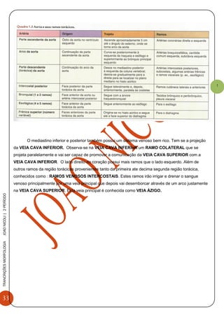 33
TRANCRIÇÕESMORFOLOGIAJOAONICOLI|2PERÌODO
1
O mediastino inferior e posterior também possui um sistema venoso bem rico. Tem se a projeção
da VEIA CAVA INFERIOR. Observa-se na VEIA CAVA INFERIoR um RAMO COLATERAL que se
projeta paralelamente e vai ser capaz de promover a comunicação da VEIA CAVA SUPERIOR com a
VEIA CAVA INFERIOR. O lado direito do coração possui mais ramos que o lado esquerdo. Além de
outros ramos da região torácicas provenientes tanto da primeira ate decima segunda região torácica,
conhecidos como : RAMOS VENOSOS INTERCOSTAIS. Estes ramos irão irrigar e drenar o sangue
venoso principalmente por uma veia principal que depois vai desemborcar através de um arco justamente
na VEIA CAVA SUPERIOR. Esta veia principal é conhecida como VEIA ÁZIGO.
 