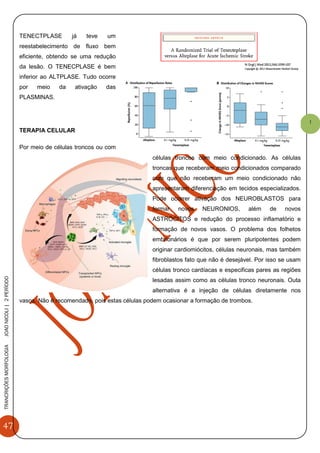 47
TRANCRIÇÕESMORFOLOGIAJOAONICOLI|2PERÌODO
1
TENECTPLASE já teve um
reestabelecimento de fluxo bem
eficiente, obtendo se uma redução
da lesão. O TENECPLASE é bem
inferior ao ALTPLASE. Tudo ocorre
por meio da ativação das
PLASMINAS.
TERAPIA CELULAR
Por meio de células troncos ou com
células troncos com meio condicionado. As células
troncas que receberam meio condicionados comparado
com que não receberam um meio condicionado não
apresentaram diferenciação em tecidos especializados.
Pode ocorrer ativação dos NEUROBLASTOS para
formar novos NEURONIOS, além de novos
ASTRÓCITOS e redução do processo inflamatório e
formação de novos vasos. O problema dos folhetos
embrionários é que por serem pluripotentes podem
originar cardiomiócitos, células neuronais, mas também
fibroblastos fato que não é desejável. Por isso se usam
células tronco cardíacas e especificas pares as regiões
lesadas assim como as células tronco neuronais. Outa
alternativa é a injeção de células diretamente nos
vasos. Não é recomendado, pois estas células podem ocasionar a formação de trombos.
 