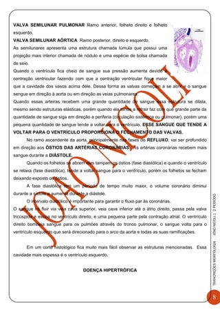 8
TRANCRIÇÕESMORFOLOGIAJOAONICOLI|2PERÌODO
VALVA SEMILUNAR PULMONAR Ramo anterior, folheto direito e folheto
esquerdo.
VALVA SEMILUNAR AÓRTICA Ramo posterior, direito e esquerdo.
As semilunares apresenta uma estrutura chamada lúmula que possui uma
projeção mais interior chamada de nódulo e uma espécie de bolsa chamada
de seio.
Quando o ventrículo fica cheio de sangue sua pressão aumenta devido à
contração ventricular fazendo com que a contração ventricular fique maior
que a cavidade dos vasos acima dele. Dessa forma as valvas começam a se abrir e o sangue
sengue em direção à aorta ou em direção as veias pulmonares.
Quando essas arteiras recebem uma grande quantidade de sangue essa estrutura se dilata,
mesmo sendo estruturas elásticas, porém quando ela tende a retrair faz com que grande parte da
quantidade de sangue siga em direção a periferia (circulação sistêmica ou pulmonar), porém uma
pequena quantidade de sangue tende a voltar para o ventrículo. ESSE SANGUE QUE TENDE A
VOLTAR PARA O VENTRÍCULO PROPORCIONA O FECHAMENTO DAS VALVAS.
No ramo ascendente da aorta, principalmente nas fases do REFLUXO, vai ser profundido
em direção aos ÓSTIOS DAS ARTÉRIAS CORONÁRIAS. As artérias coronárias recebem mais
sangue durante a DIÁSTOLE.
Quando os folhetos se abrem eles tampam os óstios (fase diastólica) e quando o ventrículo
se relaxa (fase diastólica), tende a voltar sangue para o ventrículo, porém os folhetos se fecham
deixando exposto os óstios.
A fase diastólica tem um período de tempo muito maior, o volume coronário diminui
durante a sístole e aumenta durante a diástole.
O intervalo diastólico é importante para garantir o fluxo par às coronárias.
O sangue irá fluir via veia cava superior, veia cava inferior até o átrio direito, passa pela valva
tricúspide e escoa no ventrículo direito, e uma pequena parte pela contração atrial. O ventrículo
direito bombeia sangue para os pulmões através do tronco pulmonar, o sangue volta para o
ventrículo esquerdo que será direcionado para o arco da aorta e todas as suas ramificações.
Em um corte histológico fica muito mais fácil observar as estruturas mencionadas. Essa
cavidade mais espessa é o ventrículo esquerdo.
DOENÇA HIPERTRÓFICA
 