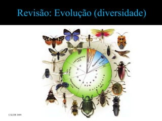 Revisão: Evolução (diversidade)




CALOR 2009.
 