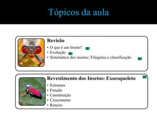 Tópicos da aula

Revisão
• O que é um Inseto?
• Evolução
• Sistemática dos insetos: Filogenia e classificação




Revestimento dos Insetos: Exoesqueleto
•   Estrutura
•   Função
•   Constituição
•   Crescimento
•   Roteiro
 