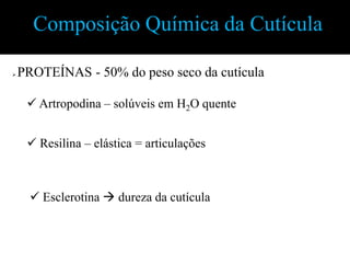 Composição Química da Cutícula

   PROTEÍNAS - 50% do peso seco da cutícula

      Artropodina – solúveis em H2O quente


      Resilina – elástica = articulações



       Esclerotina  dureza da cutícula
 
