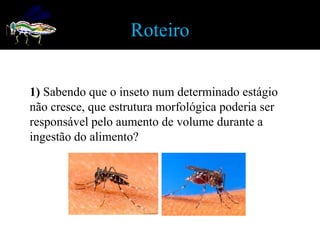 Roteiro


1) Sabendo que o inseto num determinado estágio
não cresce, que estrutura morfológica poderia ser
responsável pelo aumento de volume durante a
ingestão do alimento?
 