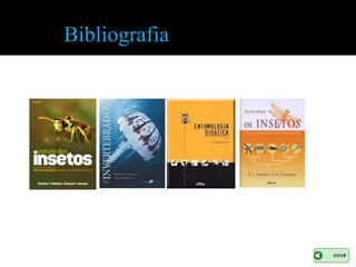 Bibliografia




               STOP
 