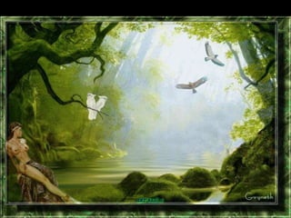 Morfologia   tegumento