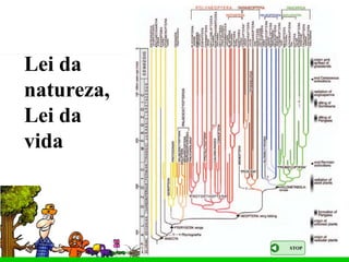 Lei da
natureza,
Lei da
vida



            STOP
 