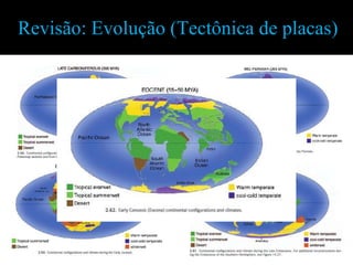 Revisão: Evolução (Tectônica de placas)
 