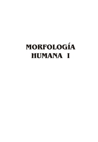 MORFOLOGÍA
 HUMANA I




    1
 