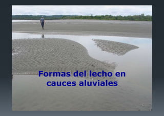 Formas del lecho en
cauces aluviales
 