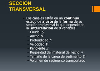 SECCIÓN
TRANSVERSAL
• Los canales están en un continuo
estado de ajuste de la forma de su
sección transversal la que depende de
la interrelación de 8 variables:
– Caudal Q
– Ancho B
– Profundidad h
– Velocidad V
– Pendiente S
– Rugosidad del material del lecho n
– Tamaño de la carga de sedimento D
– Volumen de sedimento transportado
 