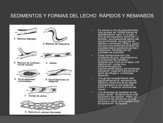 SEDIMENTOS Y FORMAS DEL LECHO RÁPIDOS Y REMANSOS
 En tramos o ríos de granulometría
más gruesa, se forman barras de
sedimentación “bars” a un lado y
otro de los meandros “point-bar”, o
también acumulaciones dentro del
cauce formando secuencias de
rápidos y remansos “riffles y pools”
que son muy evidentes durante los
caudales bajos quedando parcial o
totalmente cubiertas por los
caudales de avenidas.
 Estas formaciones son una
constante de gran importancia en
la diversidad de hábitats y
especies que viven en el agua. Los
rápidos son zonas muy
productivas para los
macroinvertebrados y los remansos
adquieren especial importancia al
servir de refugio a numerosas
especies.
 Una de las características más
significativas en la secuencia de
rápidos y remansos es su regular
espaciamiento a una distancia
entre 5 – 7 veces la anchura del
cauce.
 Los remansos se localizan en las
pozas “pools” donde el río es más
profundo y los rápidos “riffles” se
centran en las secciones de más
anchura y menor profundidad como
se aprecia en las figuras.
 