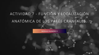 ACTIVIDAD 7 - FUNCIÓN Y LOCALIZACIÓN
ANATÓMICA DE LOS PARES CRANEALES.
2 4 . 9 . X X
MODULO NUMERO 3
 