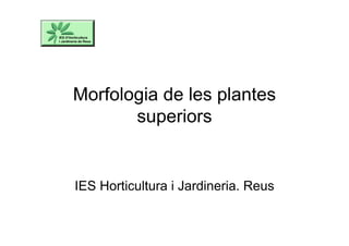 Morfologia de les plantes
superiors
IES Horticultura i Jardineria. Reus
 