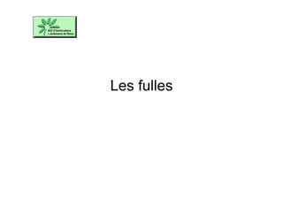 Les fulles
 