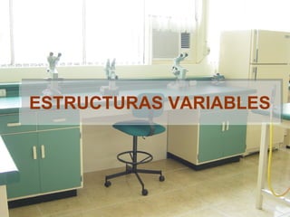 ESTRUCTURAS VARIABLES 