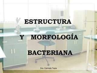 ESTRUCTURA
Y MORFOLOGÍA
BACTERIANA
Dra. Carmela Tapia
 