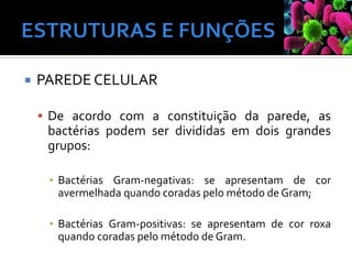  PAREDE CELULAR
▪ De acordo com a constituição da parede, as
bactérias podem ser divididas em dois grandes
grupos:
▪ Bactérias Gram-negativas: se apresentam de cor
avermelhada quando coradas pelo método de Gram;
▪ Bactérias Gram-positivas: se apresentam de cor roxa
quando coradas pelo método de Gram.
 