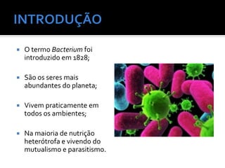  O termo Bacterium foi
introduzido em 1828;
 São os seres mais
abundantes do planeta;
 Vivem praticamente em
todos os ambientes;
 Na maioria de nutrição
heterótrofa e vivendo do
mutualismo e parasitismo.
 