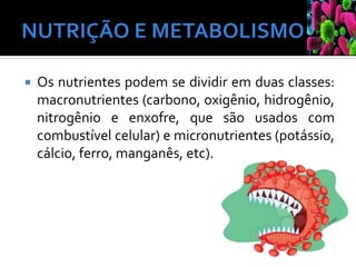  Os nutrientes podem se dividir em duas classes:
macronutrientes (carbono, oxigênio, hidrogênio,
nitrogênio e enxofre, que são usados com
combustível celular) e micronutrientes (potássio,
cálcio, ferro, manganês, etc).
 