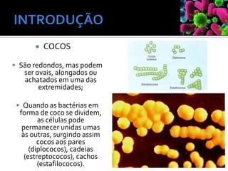 COCOS
▪ São redondos, mas podem
ser ovais, alongados ou
achatados em uma das
extremidades;
▪ Quando as bactérias em
forma de coco se dividem,
as células pode
permanecer unidas umas
às outras, surgindo assim
cocos aos pares
(diplococos), cadeias
(estreptococos), cachos
(estafilococos).
 