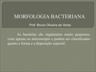 MORFOLOGIA BACTERIANA
As bactérias são organismos muito pequenos,
visto apenas ao microscópio e podem ser classificados
quanto a forma e a disposição espacial.
Prof. Bruno Oliveira de Veras
 