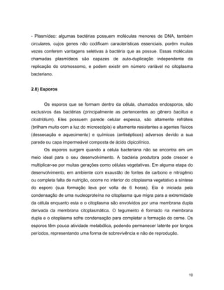 - Plasmídeo: algumas bactérias possuem moléculas menores de DNA, também 
circulares, cujos genes não codificam características essenciais, porém muitas 
vezes conferem vantagens seletivas à bactéria que as possue. Essas moléculas 
chamadas plasmídeos são capazes de auto-duplicação independente da 
replicação do cromossomo, e podem existir em número variável no citoplasma 
bacteriano. 
10 
2.8) Esporos 
Os esporos que se formam dentro da célula, chamados endosporos, são 
exclusivos das bactérias (principalmente as pertencentes ao gênero bacillus e 
clostridium). Eles possuem parede celular espessa, são altamente refráteis 
(brilham muito com a luz do microscópio) e altamente resistentes a agentes físicos 
(dessecação e aquecimento) e químicos (antisépticos) adversos devido a sua 
parede ou capa impermeável composta de ácido dipicolínico. 
Os esporos surgem quando a célula bacteriana não se encontra em um 
meio ideal para o seu desenvolvimento. A bactéria produtora pode crescer e 
multiplicar-se por muitas gerações como células vegetativas. Em alguma etapa do 
desenvolvimento, em ambiente com exaustão de fontes de carbono e nitrogênio 
ou completa falta de nutrição, ocorre no interior do citoplasma vegetativo a síntese 
do esporo (sua formação leva por volta de 6 horas). Ela é iniciada pela 
condensação de uma nucleoproteína no citoplasma que migra para a extremidade 
da célula enquanto esta e o citoplasma são envolvidos por uma membrana dupla 
derivada da membrana citoplasmática. O tegumento é formado na membrana 
dupla e o citoplasma sofre condensação para completar a formação do cerne. Os 
esporos têm pouca atividade metabólica, podendo permanecer latente por longos 
períodos, representando uma forma de sobrevivência e não de reprodução. 
 