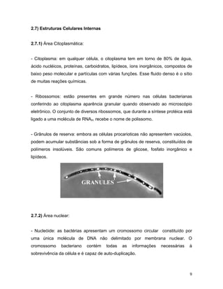 9 
2.7) Estruturas Celulares Internas 
2.7.1) Área Citoplasmática: 
- Citoplasma: em qualquer célula, o citoplasma tem em torno de 80% de água, 
ácido nucléicos, proteínas, carboidratos, lipídeos, íons inorgânicos, compostos de 
baixo peso molecular e partículas com várias funções. Esse fluido denso é o sítio 
de muitas reações químicas. 
- Ribossomos: estão presentes em grande número nas células bacterianas 
conferindo ao citoplasma aparência granular quando observado ao microscópio 
eletrônico. O conjunto de diversos ribossomos, que durante a síntese protéica está 
ligado a uma molécula de RNAm recebe o nome de polissomo. 
- Grânulos de reserva: embora as células procarioticas não apresentem vacúolos, 
podem acumular substâncias sob a forma de grânulos de reserva, constituídos de 
polímeros insolúveis. São comuns polímeros de glicose, fosfato inorgânico e 
lipídeos. 
2.7.2) Área nuclear: 
- Nucleóide: as bactérias apresentam um cromossomo circular constituído por 
uma única molécula de DNA não delimitado por membrana nuclear. O 
cromossomo bacteriano contém todas as informações necessárias à 
sobrevivência da célula e é capaz de auto-duplicação. 
 