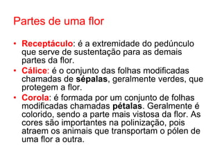 Partes de uma flor
• Receptáculo: é a extremidade do pedúnculo
  que serve de sustentação para as demais
  partes da flor.
• Cálice: é o conjunto das folhas modificadas
  chamadas de sépalas, geralmente verdes, que
  protegem a flor.
• Corola: é formada por um conjunto de folhas
  modificadas chamadas pétalas. Geralmente é
  colorido, sendo a parte mais vistosa da flor. As
  cores são importantes na polinização, pois
  atraem os animais que transportam o pólen de
  uma flor a outra.
 