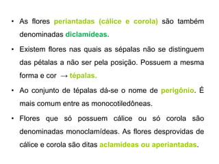 • As flores periantadas (cálice e corola) são também
  denominadas diclamídeas.

• Existem flores nas quais as sépalas não se distinguem
  das pétalas a não ser pela posição. Possuem a mesma
  forma e cor → tépalas.

• Ao conjunto de tépalas dá-se o nome de perigônio. É
  mais comum entre as monocotiledôneas.

• Flores que só possuem cálice ou só corola são
  denominadas monoclamídeas. As flores desprovidas de
  cálice e corola são ditas aclamídeas ou aperiantadas.
 