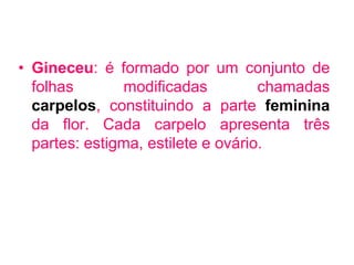 • Gineceu: é formado por um conjunto de
  folhas       modificadas          chamadas
  carpelos, constituindo a parte feminina
  da flor. Cada carpelo apresenta três
  partes: estigma, estilete e ovário.
 