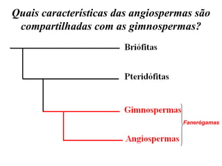 Quais características das angiospermas são
 compartilhadas com as gimnospermas?




                                    Fanerógamas
 