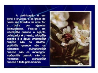 Morfologia da flor agronomia