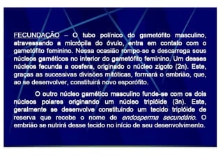 Morfologia da flor agronomia