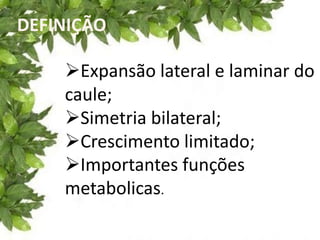DEFINIÇÃO
Expansão lateral e laminar do
caule;
Simetria bilateral;
Crescimento limitado;
Importantes funções
metabolicas.
 
