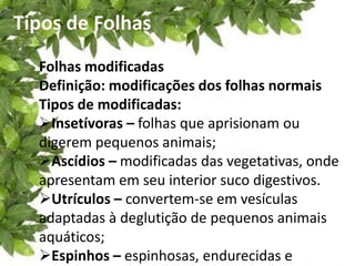 Tipos de Folhas
Folhas modificadas
Definição: modificações dos folhas normais
Tipos de modificadas:
Insetívoras – folhas que aprisionam ou
digerem pequenos animais;
Ascídios – modificadas das vegetativas, onde
apresentam em seu interior suco digestivos.
Utrículos – convertem-se em vesículas
adaptadas à deglutição de pequenos animais
aquáticos;
Espinhos – espinhosas, endurecidas e
 
